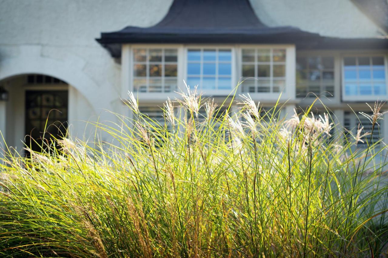 Daisybank Cottage Boutique Bed And Breakfast Brockenhurst Esterno foto